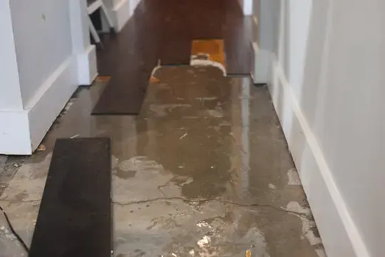 Wet concrete slab in a hallway after flooring was pulled up for drying